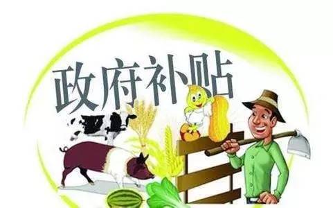 好會計(jì)：政府補(bǔ)助